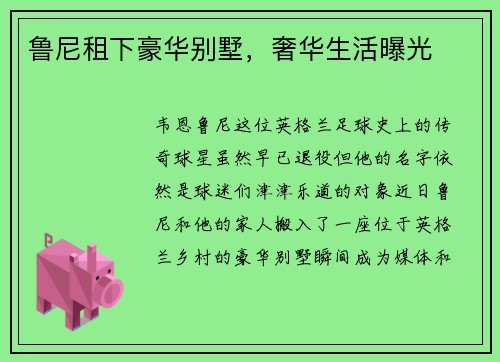 鲁尼租下豪华别墅，奢华生活曝光