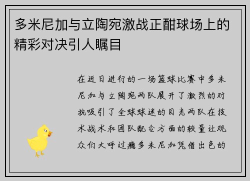 多米尼加与立陶宛激战正酣球场上的精彩对决引人瞩目