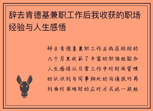 辞去肯德基兼职工作后我收获的职场经验与人生感悟