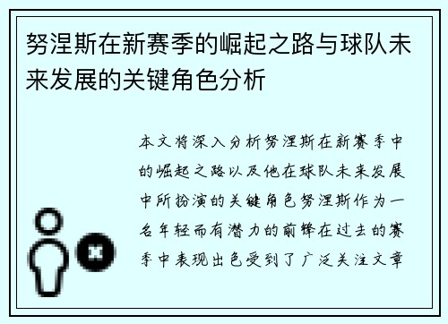 努涅斯在新赛季的崛起之路与球队未来发展的关键角色分析