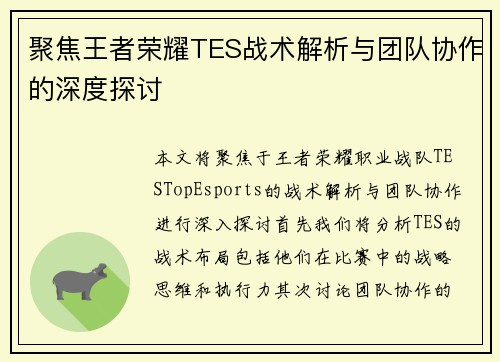 聚焦王者荣耀TES战术解析与团队协作的深度探讨